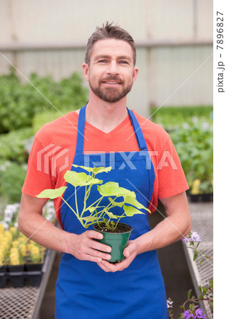 Mid adult man holding plant in garden centre, portrait 7896827
