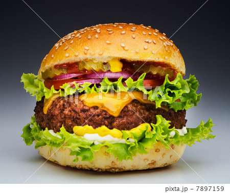 Burger 7897159