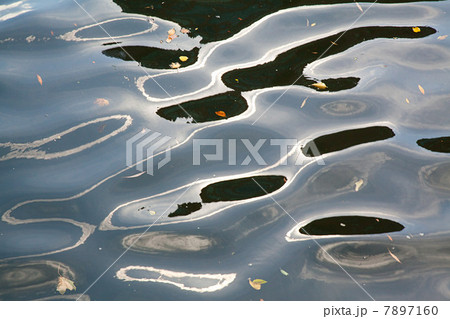 Ripples and reflections on water surface Ripples and reflections on water surface 7897160