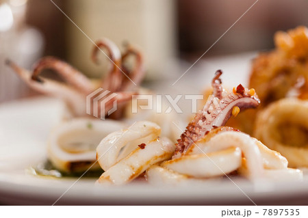 Squid dish 7897535
