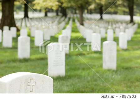Arlington National Cemetery, Virginia, USA Arlington National Cemetery, Virginia, USA 7897803