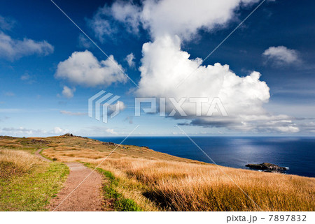 Easter island, polynesia Easter island, polynesia 7897832