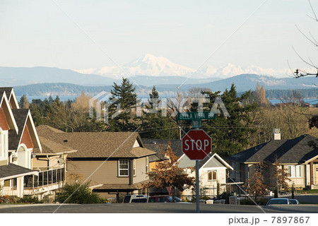 Suburban street and view of mountains, Victoria, British Columbia 7897867