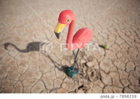 Close up of flamingo statue in desert 7898239