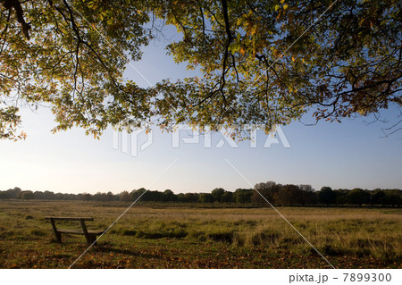 Bench in a peaceful grassland 7899300