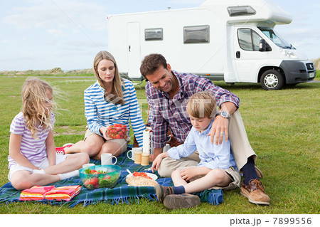 Family having picnic by caravan 7899556