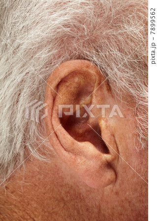 Senior mans ear, close up 7899562