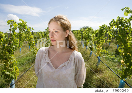 Mid adult woman in vineyard with vines 7900049