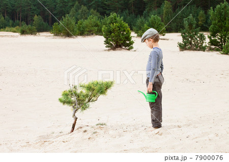 Boy with watering can, looking at plant in sand Boy with watering can, looking at plant in sand 7900076