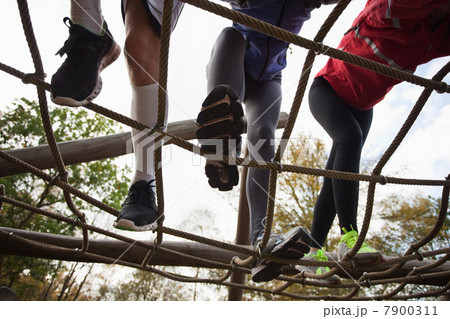 Young friends climbing assault course equipment 7900311