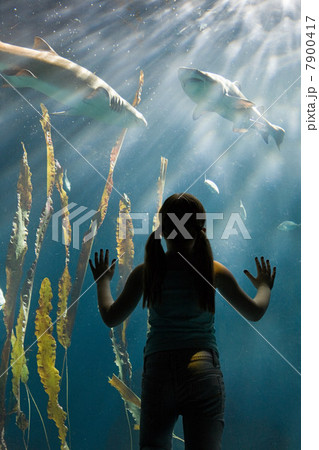 Girl watching sharks in aquarium Girl watching sharks in aquarium 7900417