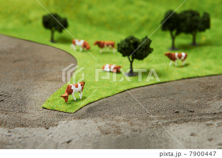 Model cows on pretend grass with trees 7900447