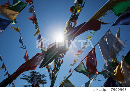 Buddhist prayer flags 7900963