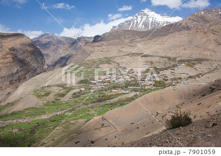 Kibber village, Spiti Valley, Himachal Pradesh, India 7901059