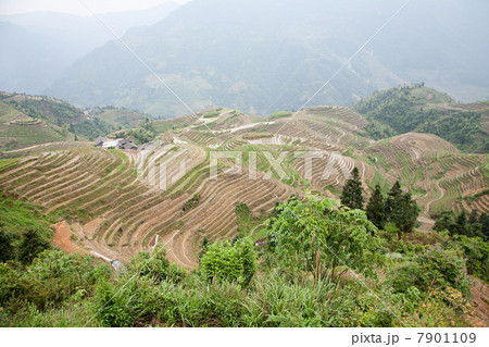 China, guangxi, longsheng, dragon's backbone rice terraces China, guangxi, longsheng, dragon's backbone rice terraces 7901109