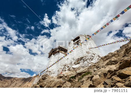 Namgyal Tsemo Monastery and prayer flags, low angle view 7901151