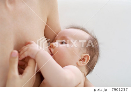 Mother breastfeeding baby Mother breastfeeding baby 7901257