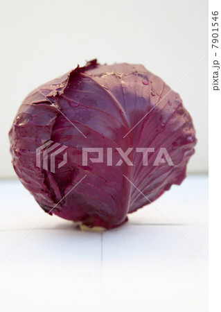 Red cabbage, studio shot 7901546