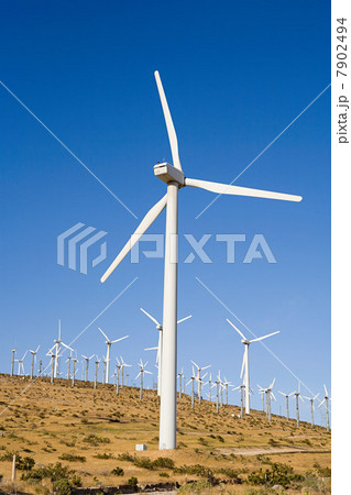Wind farm, Indian Wells, California, USA Wind farm, Indian Wells, California, USA 7902494