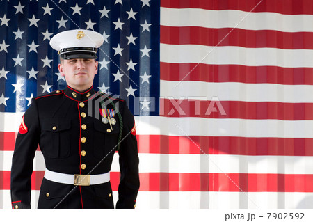 Serviceman in dress blues by US flag 7902592