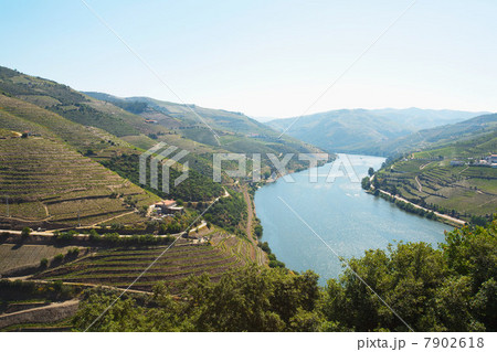 River Douro, Portugal River Douro, Portugal 7902618