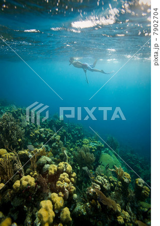 Man snorkeling on tropical coral reef 7902704
