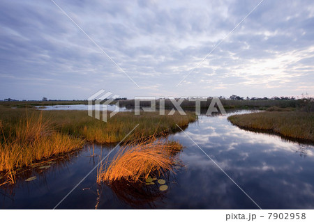 Sunset over the Okavango Delta, Botswana Sunset over the Okavango Delta, Botswana 7902958