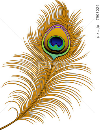 Peacock Feather 7903026