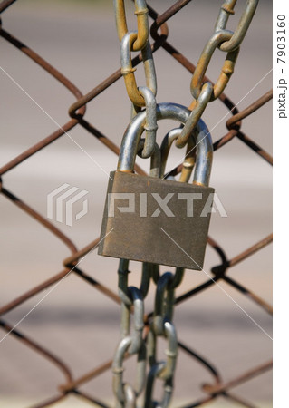 Padlock and wire mesh fence 7903160