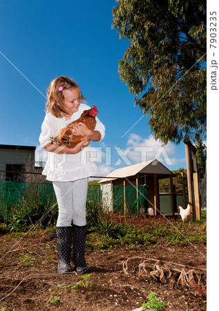 Girl holding a chicken Girl holding a chicken 7903235