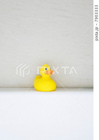 Rubber duck 7903333