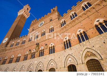 Palazzo Pubblico, Siena, Italy 7903341