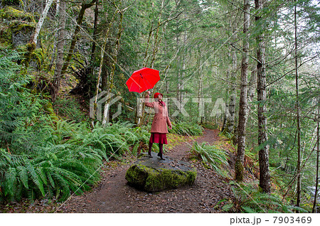 Woman with umbrella walking in forest 7903469