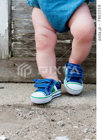 Legs of a toddler 7903559