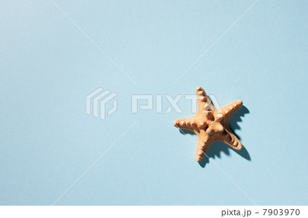 Starfish on turquoise background 7903970