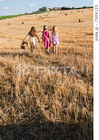 Three girls walking in field 7904135