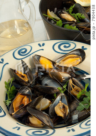 Moules marinieres 7904438