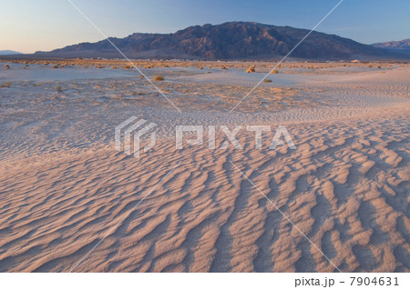 Sand dunes in Death Valley National Park, California, USA Sand dunes in Death Valley National Park, California, USA 7904631