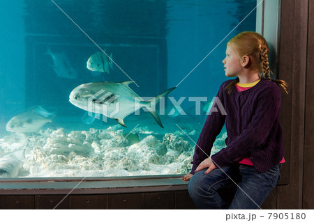 Girl watching fish in aquarium 7905180