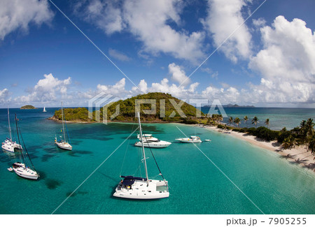 Sailboats in tropical water 7905255