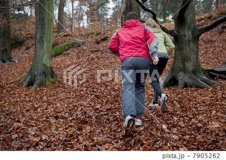 Mature couple jogging in forest 7905262