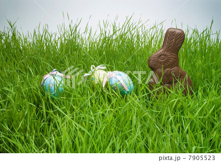 Easter eggs and chocolate bunny hiding in grass Easter eggs and chocolate bunny hiding in grass 7905523