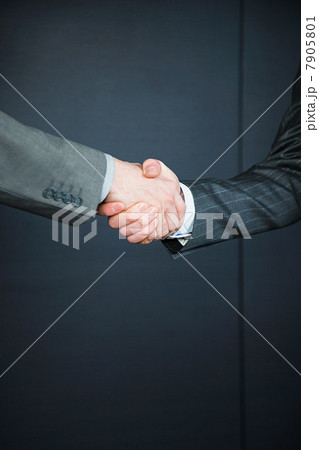 Two businessmen shaking hands 7905801