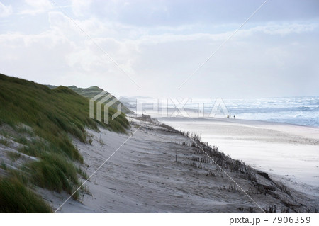 Sand dunes and beach of Sylt, Schleswig-Holstein, Germany Sand dunes and beach of Sylt, Schleswig-Holstein, Germany 7906359