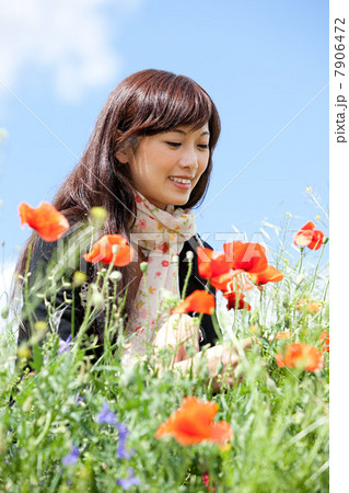 Woman in poppy field, Prague, Czech Republic 7906472