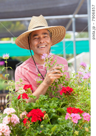 Mature man holding flowers in garden centre, smiling Mature man holding flowers in garden centre, smiling 7906857