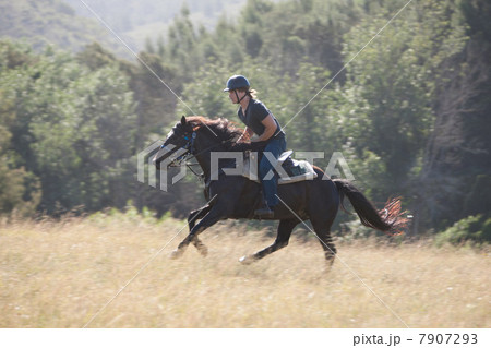 Man riding horse in rural landscape 7907293