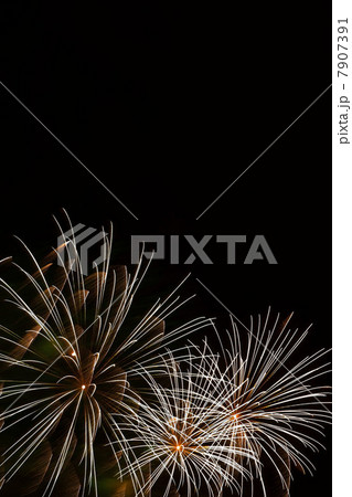 Fireworks exploding in sky Fireworks exploding in sky 7907391