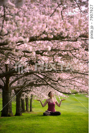 Woman in lotus position under cherry tree Woman in lotus position under cherry tree 7907627