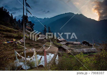 Thsokha, Himalayan Kanchenjunga Region, Sikkim, India 7908307